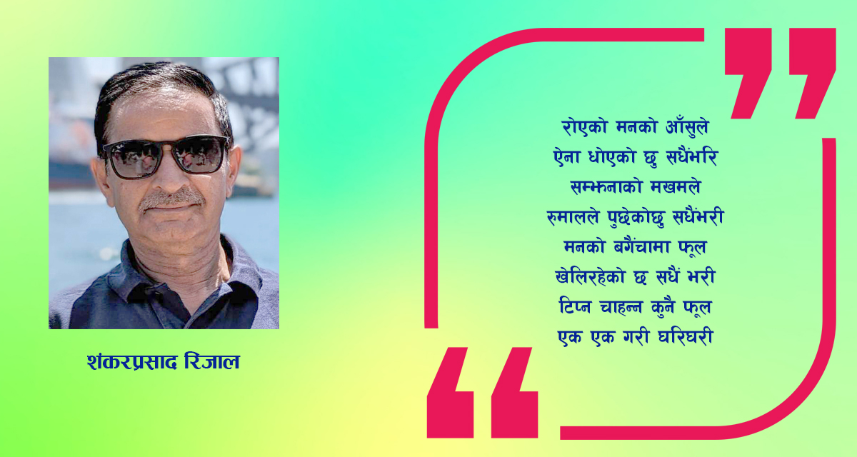 कविता : ऐनामा देखेको सपना