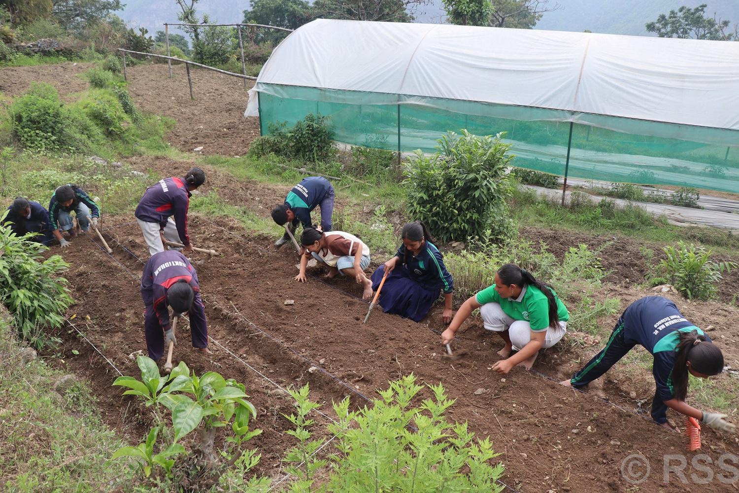 प्रयोगात्मक सीप विकासका लागि विद्यालयद्वारा तरकारीखेती विस्तार