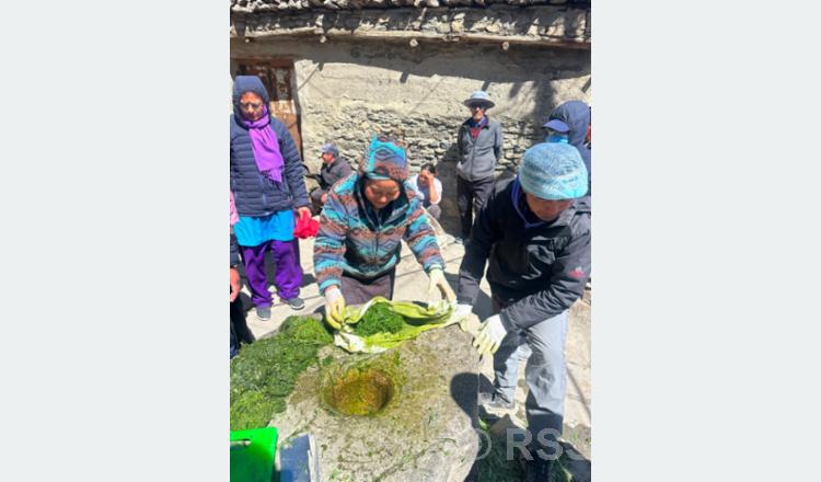 विषादीको विकल्पमा ‘जैविक झोल’