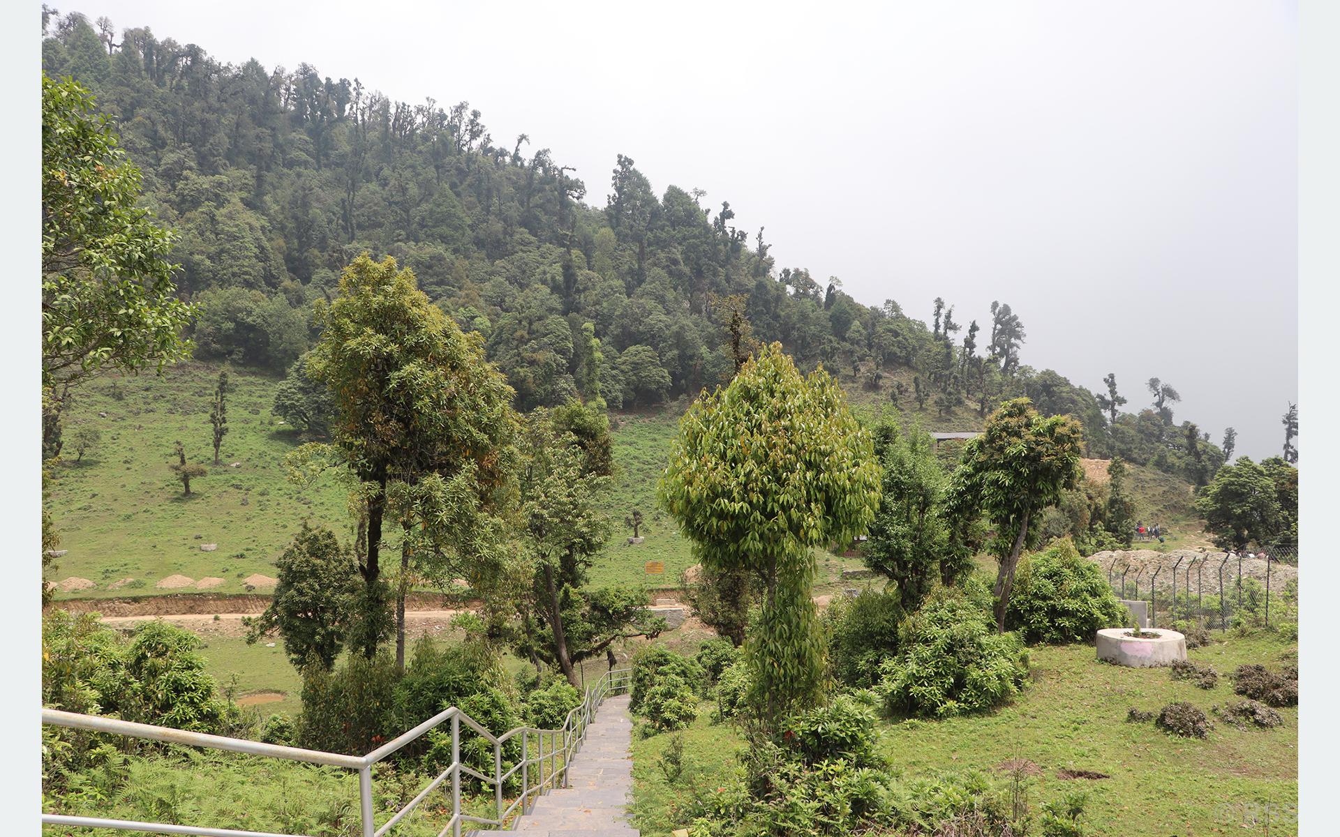 सोलेडाँडामा ‘जडीबुटी पार्क’