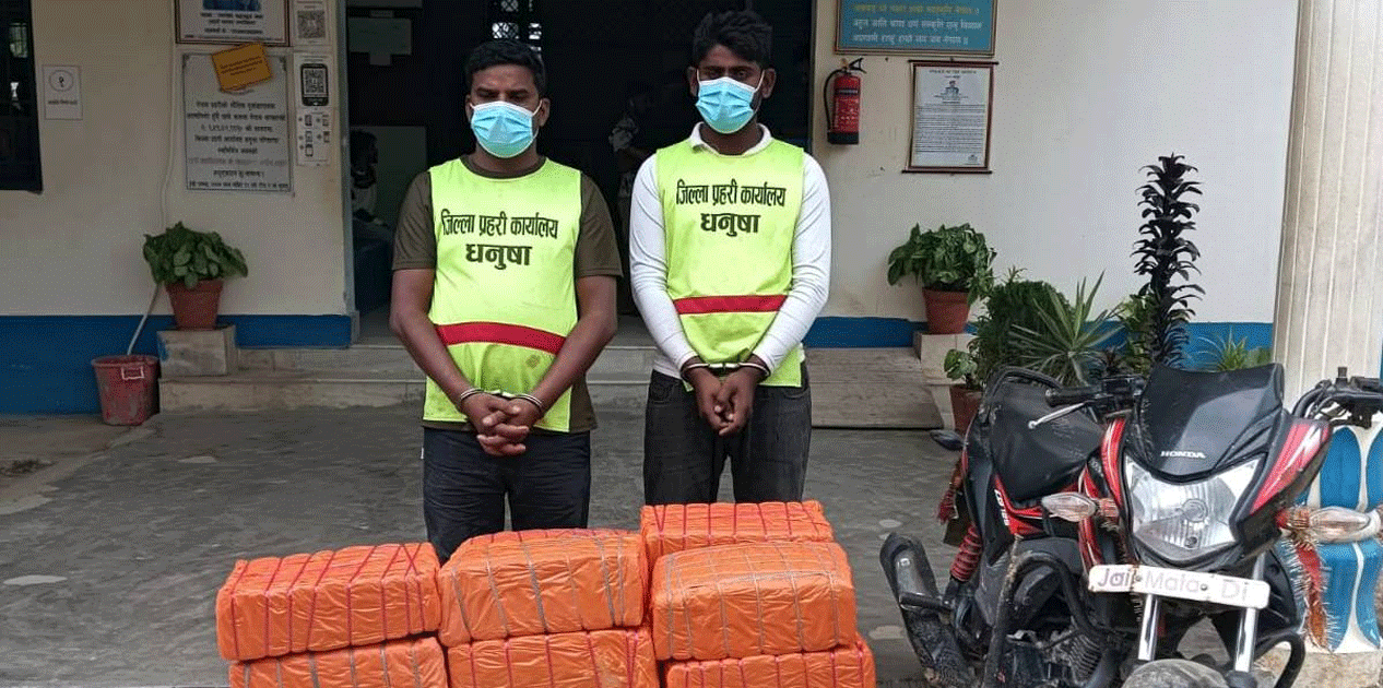 १३७ केजी लागूऔषध गाँजासहित दुई जना नियन्त्रणमा