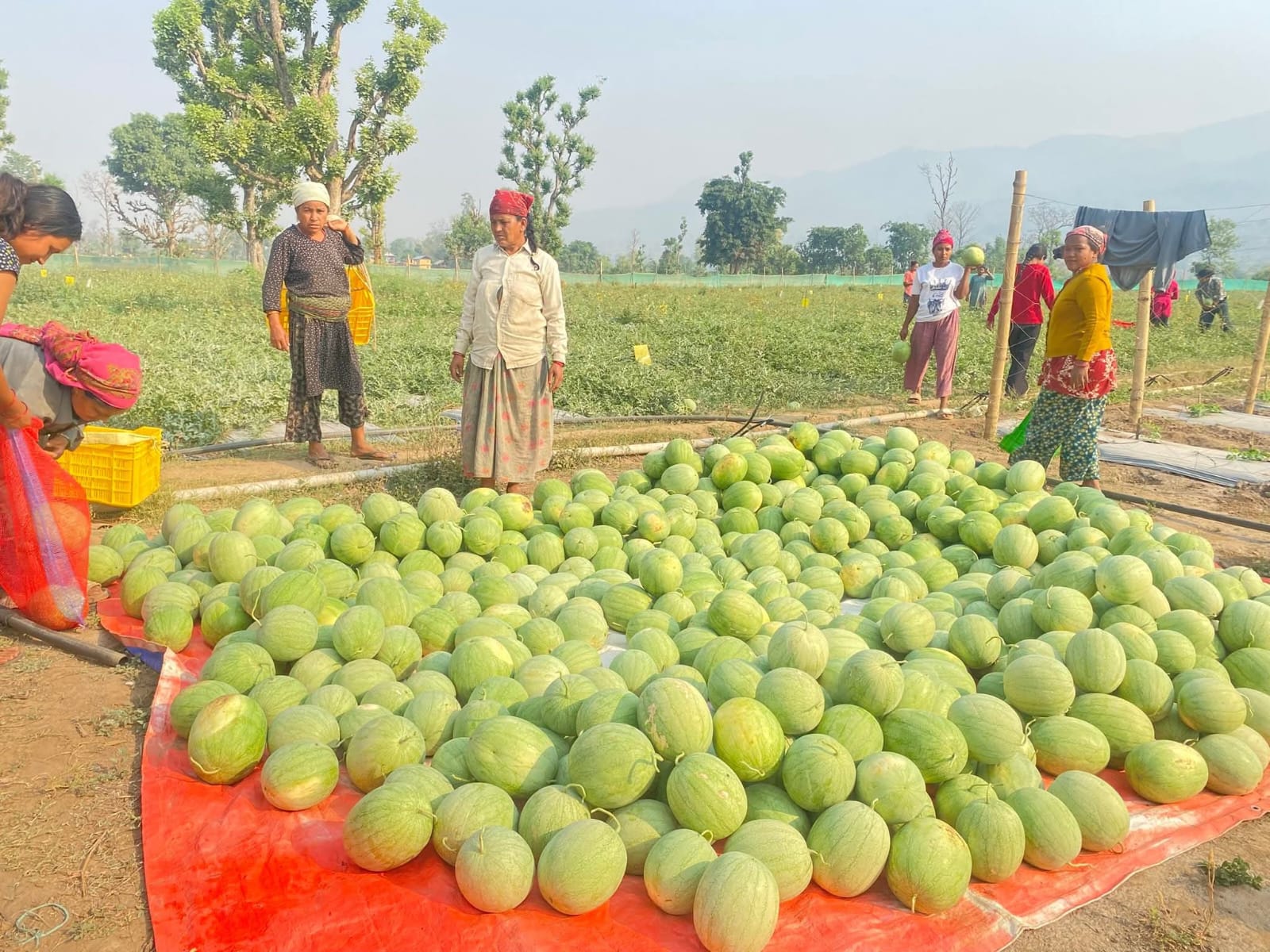 कृषिमा भविष्य खोज्दै समीर