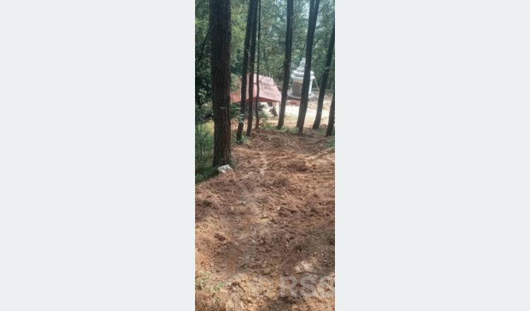 सामुदायिक वनमा ‘सिमेन्ट’का संरचना नबनाउन आग्रह