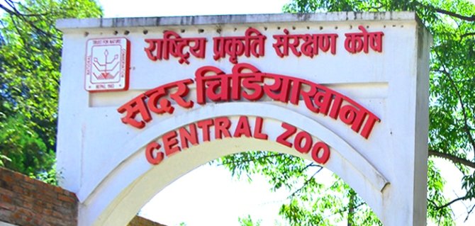 बर्डफ्लु पुष्टि भएपछि सदर चिडियाखाना अनिश्चितकालका लागि बन्द