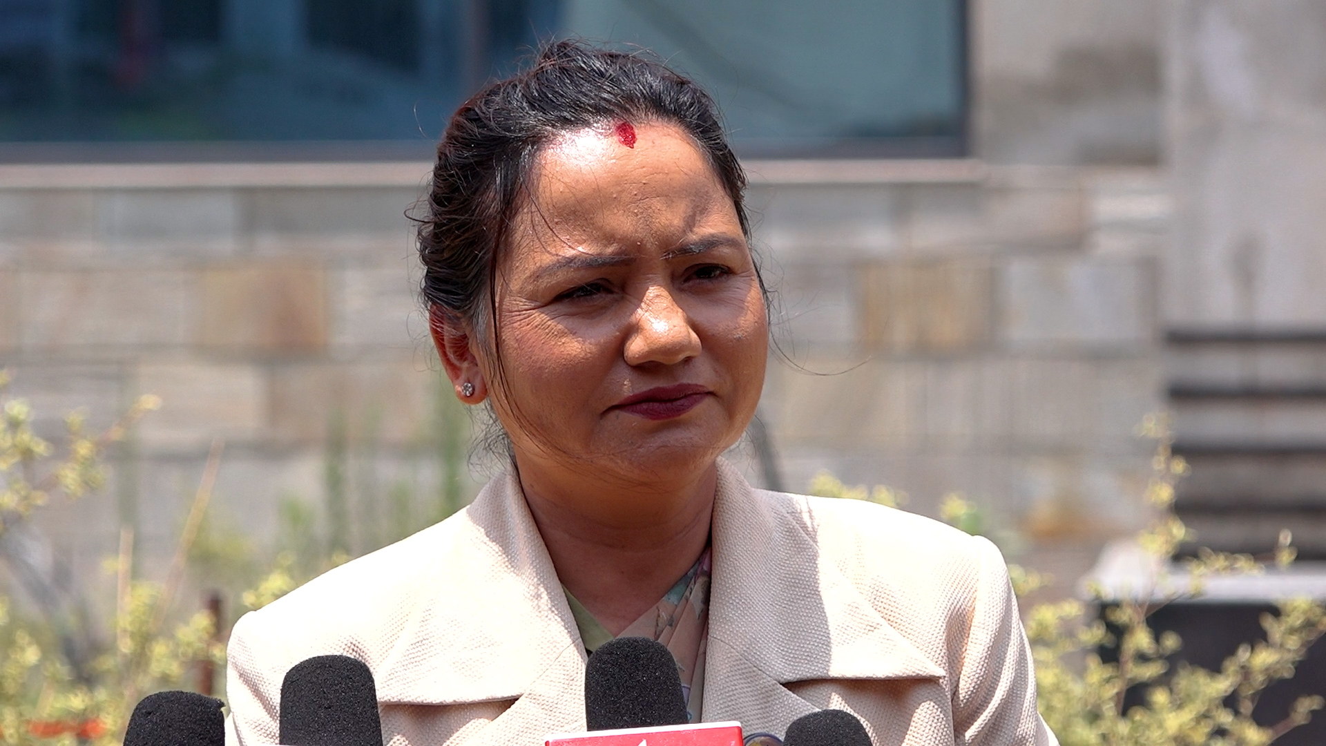 बजेट तथा नीति कार्यान्वयनमा नयाँपन छैन : प्रमुख सचेतक थापा