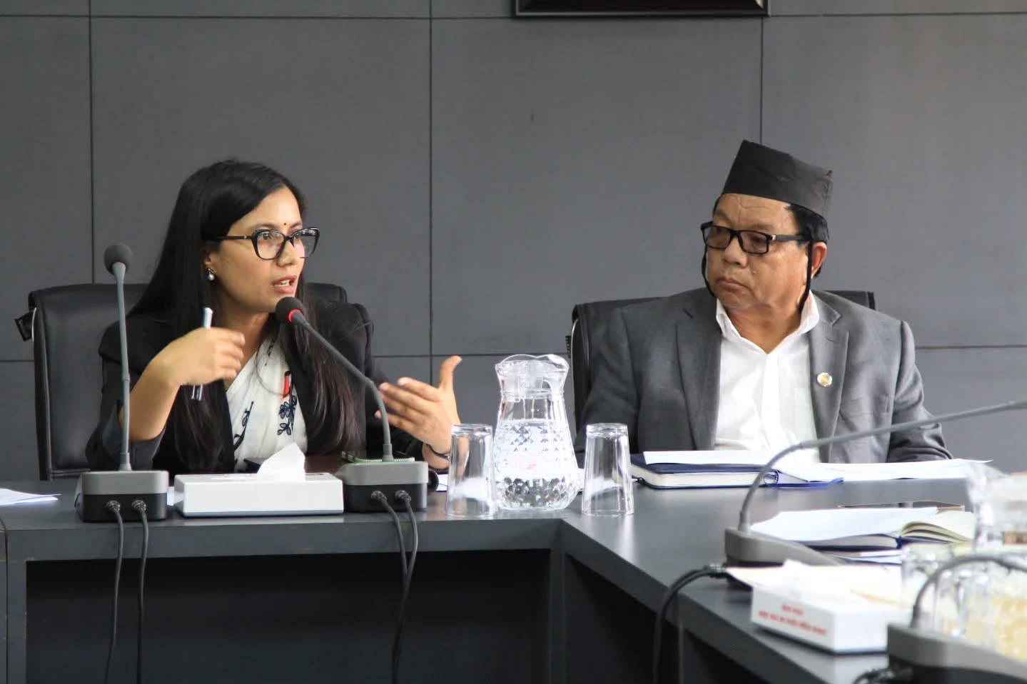 विधेयकको सूची असार मसान्तभित्र बुझाउन कानूनमन्त्री गौतमको निर्देशन, बीचमा विधेयक ल्याउन नपाइने