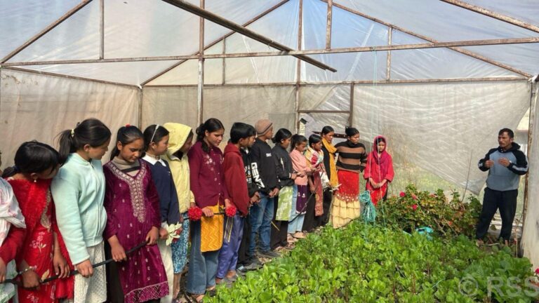 विद्यार्थीलाई ‘करेसाबारी’ सम्बन्धी सीप सिकाइँदै
