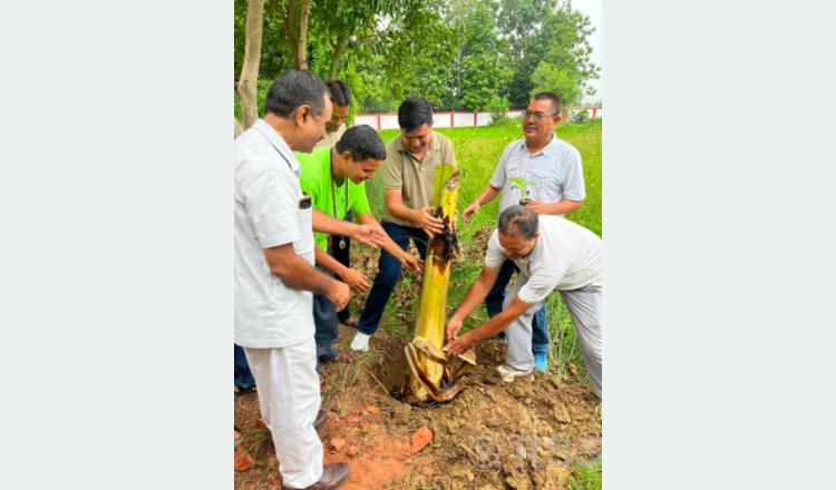 जयन्दु बाल सुधार गृहमा वृक्षारोपण