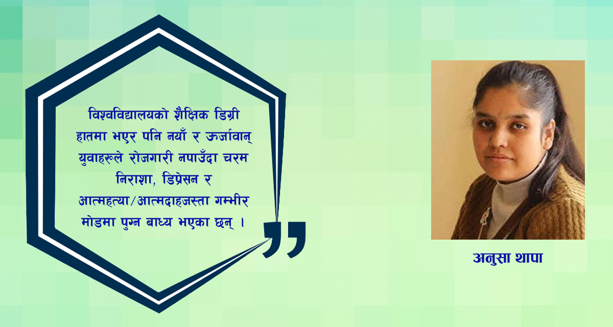 जताततै ‘भूपू’ कर्मचारीको बिगबिगी: हातमा शैक्षिक डिग्री भएका युवा भने बेरोजगार र निराश