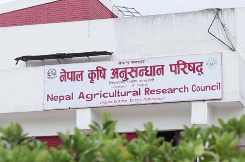 नार्कका दुई कर्मचारी सेवाबाट बर्खास्त
