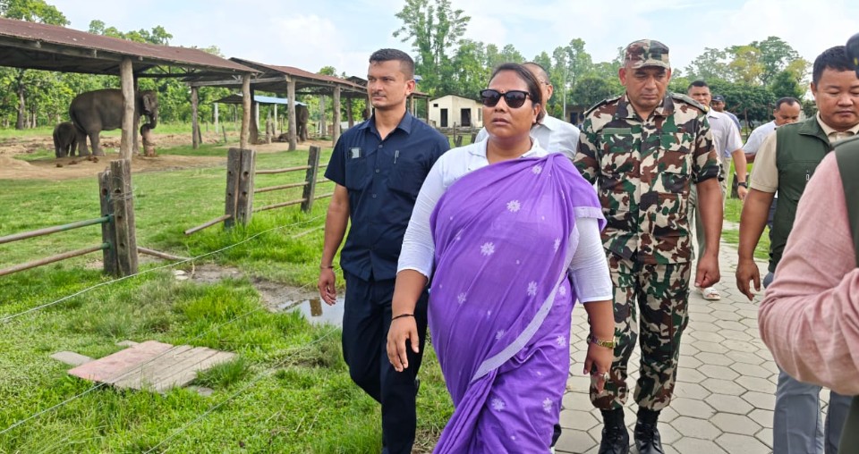 हात्ती प्रजनन केन्द्रको निरीक्षण गर्दै मन्त्री चौधरीद्वारा सुधार र विकासमा जोड