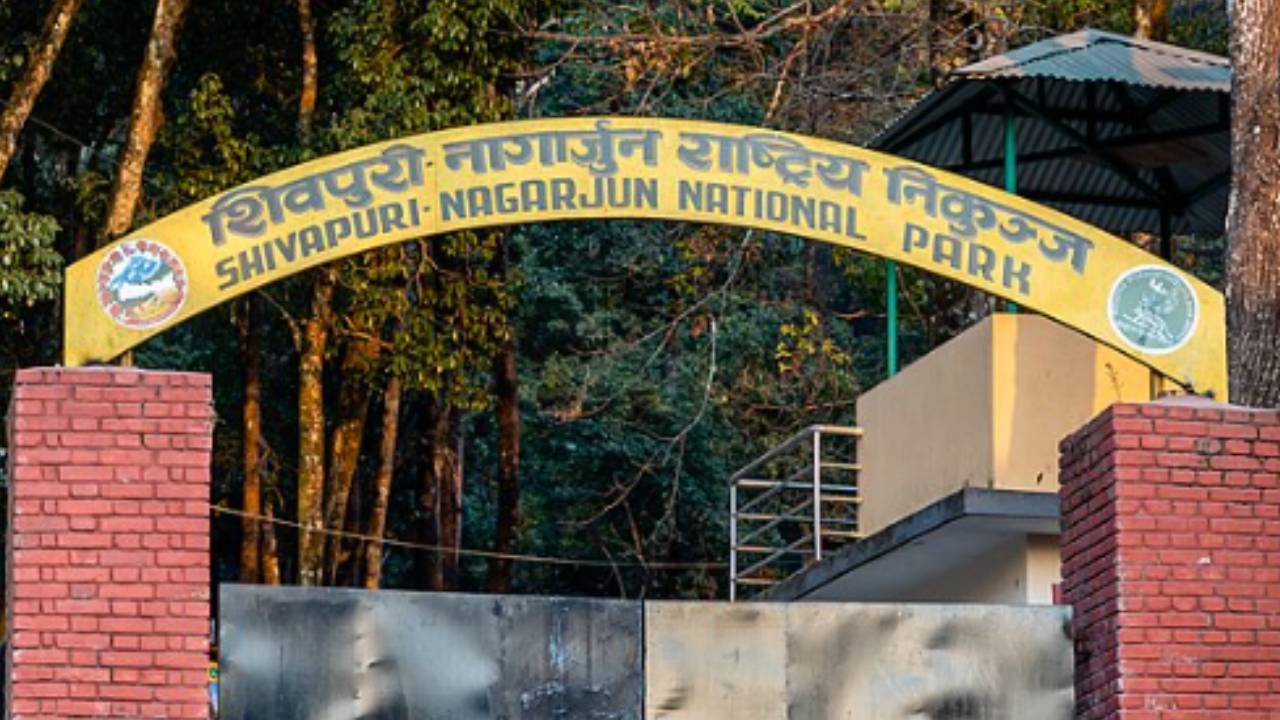 शिवपुरी-नागार्जुन राष्ट्रिय निकुञ्जमा ई–टिकेटिङको सफल परीक्षण, ६ महिनाभित्र देशभरका निकुञ्जमा लागू गरिने