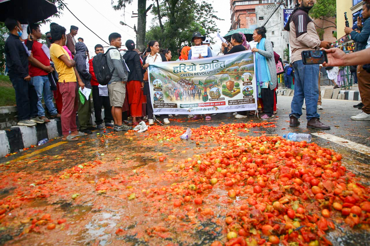 बिचौलियाको खेल अन्त्य र समर्थन मूल्यको माग गर्दै किसानद्वारा माइतीघरमा गोलभेँडा फालेर आन्दोलन (तस्बिरहरू)