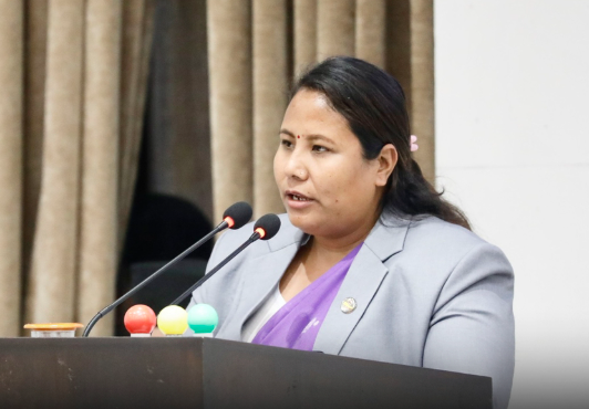 अनुदानको रासायनिक मल निजी पसलबाट महँगोमा बिक्री भएको खुलासा, अनियमिता रोक्न मन्त्रीबाटै निगरानी