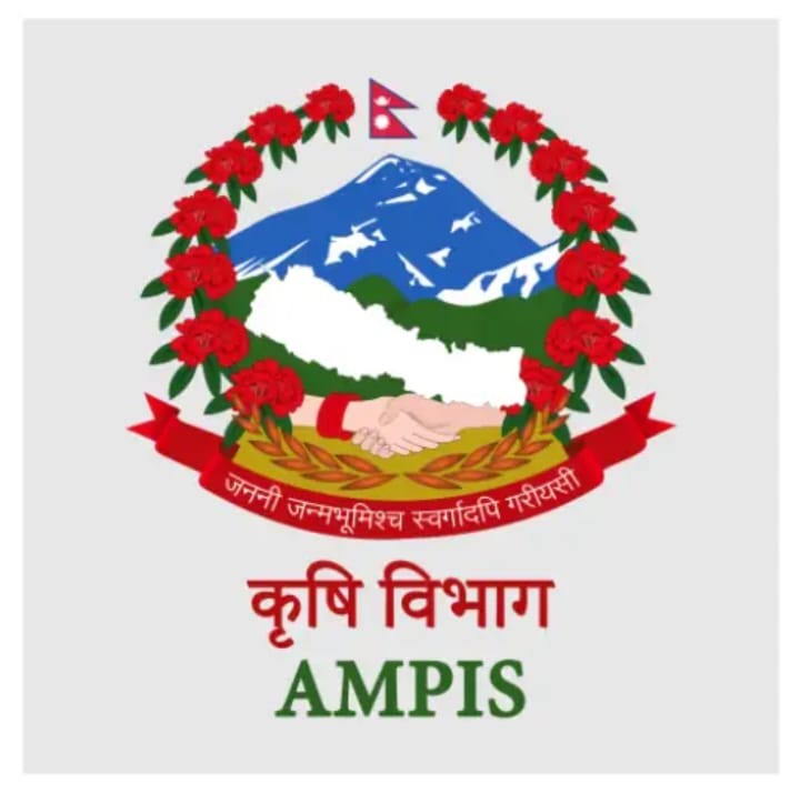 १२ वटा कृषि बजारको दैनिक थोक मूल्य अब मोबाइल एपमै, किसान र व्यापारीलाई सहज हुने