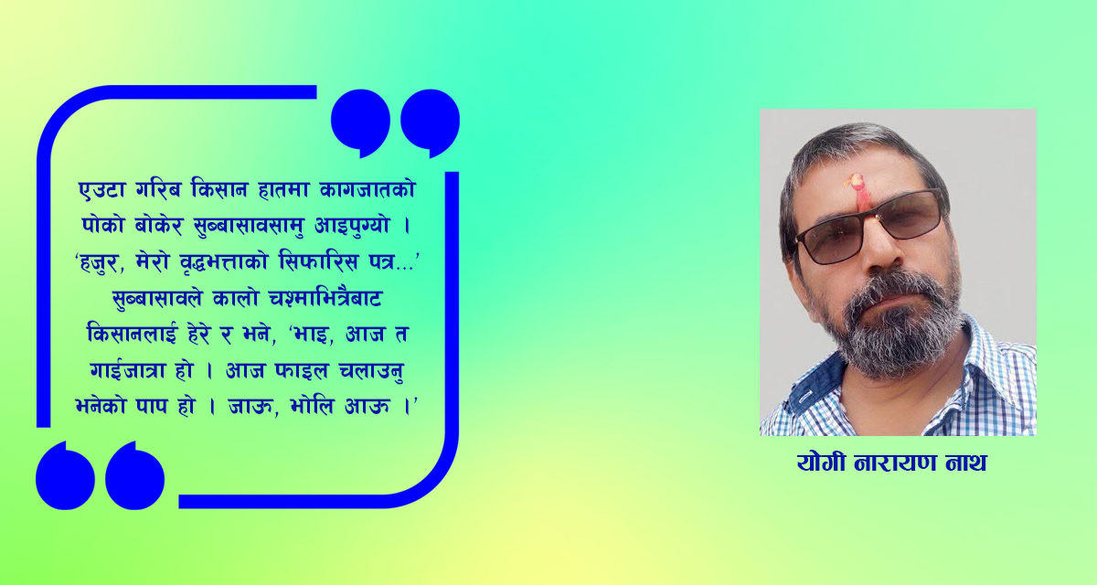 लघुकथा : गाईजात्रा ३६५ दिन