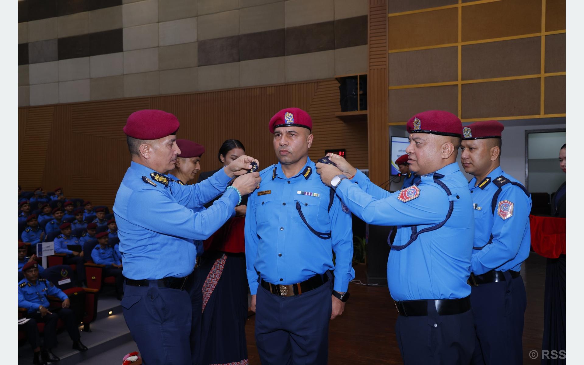 दर्ज्यानी चिन्ह प्रदान
