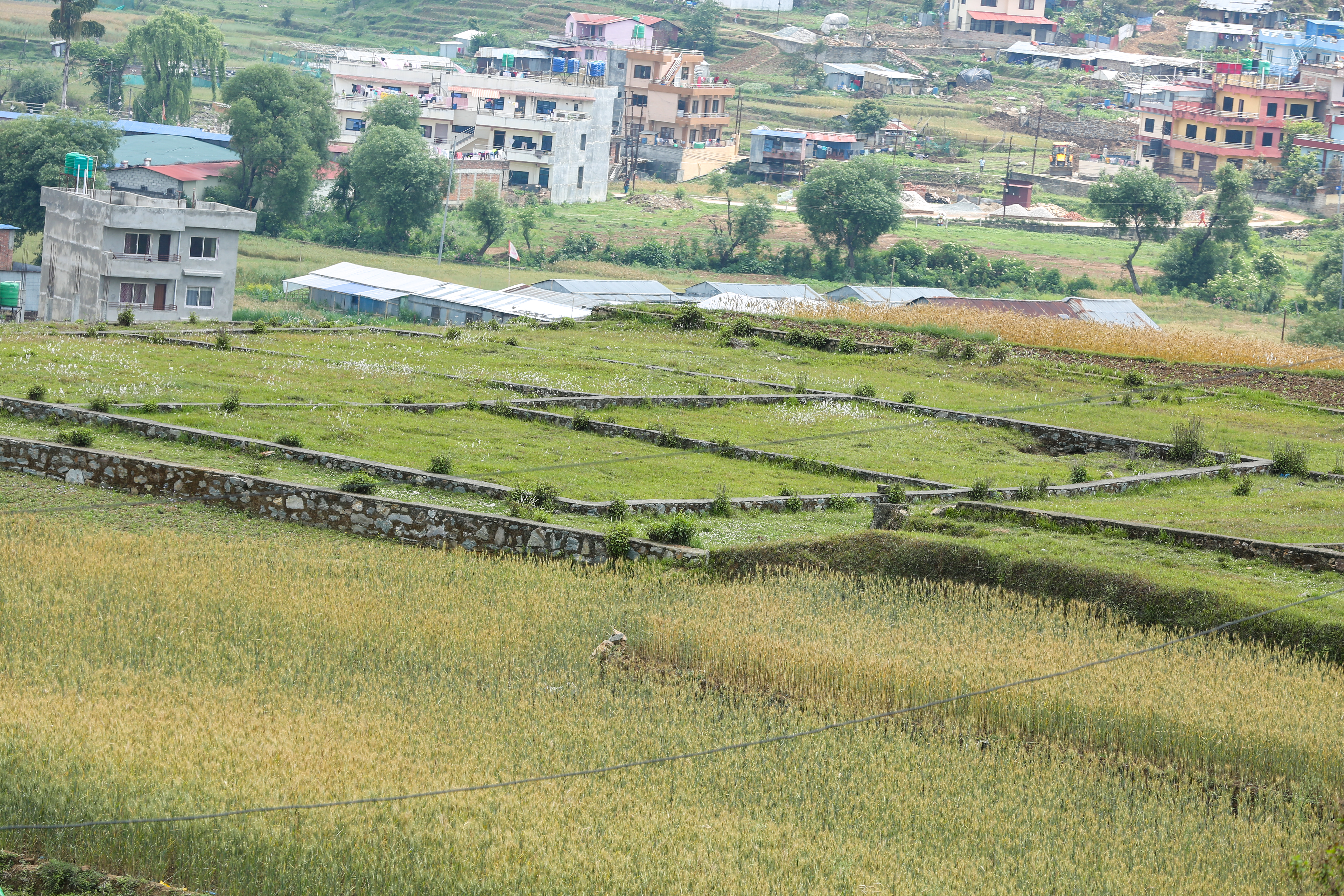 काठमाडौं उपत्यकामा जथाभावी प्लटिङ बढ्दो: घर तथा भौतिक संरचना भासिने जोखिम उच्च