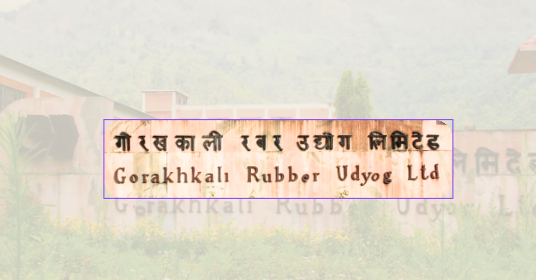 गोरखकाली रबर उद्योग सञ्चालनबारे अन्योल, चर्चा गरियो तर प्राथमिकतामा परेन्