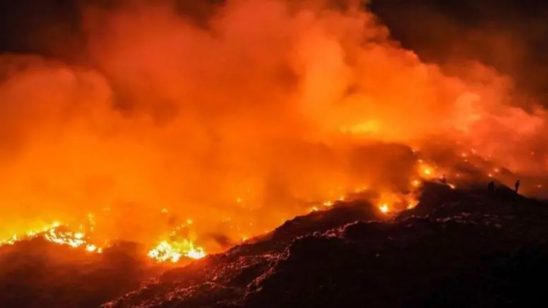 इन्डोनेसियाका जङ्गलमा भीषण डढेलो: धुवाँ र तुवालोले आकाश ढाक्यो, हजारौँ मानिस अस्पताल भर्ना