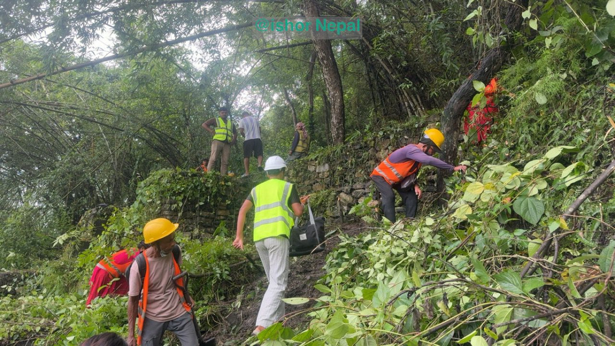 कृष्णभीर माथिको डाँडामा रुख कटान सुरु