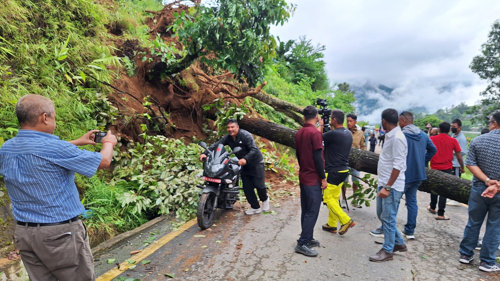 काफलडाँडामा पहिरोले रुख ढाल्दा सडक अवरुद्ध