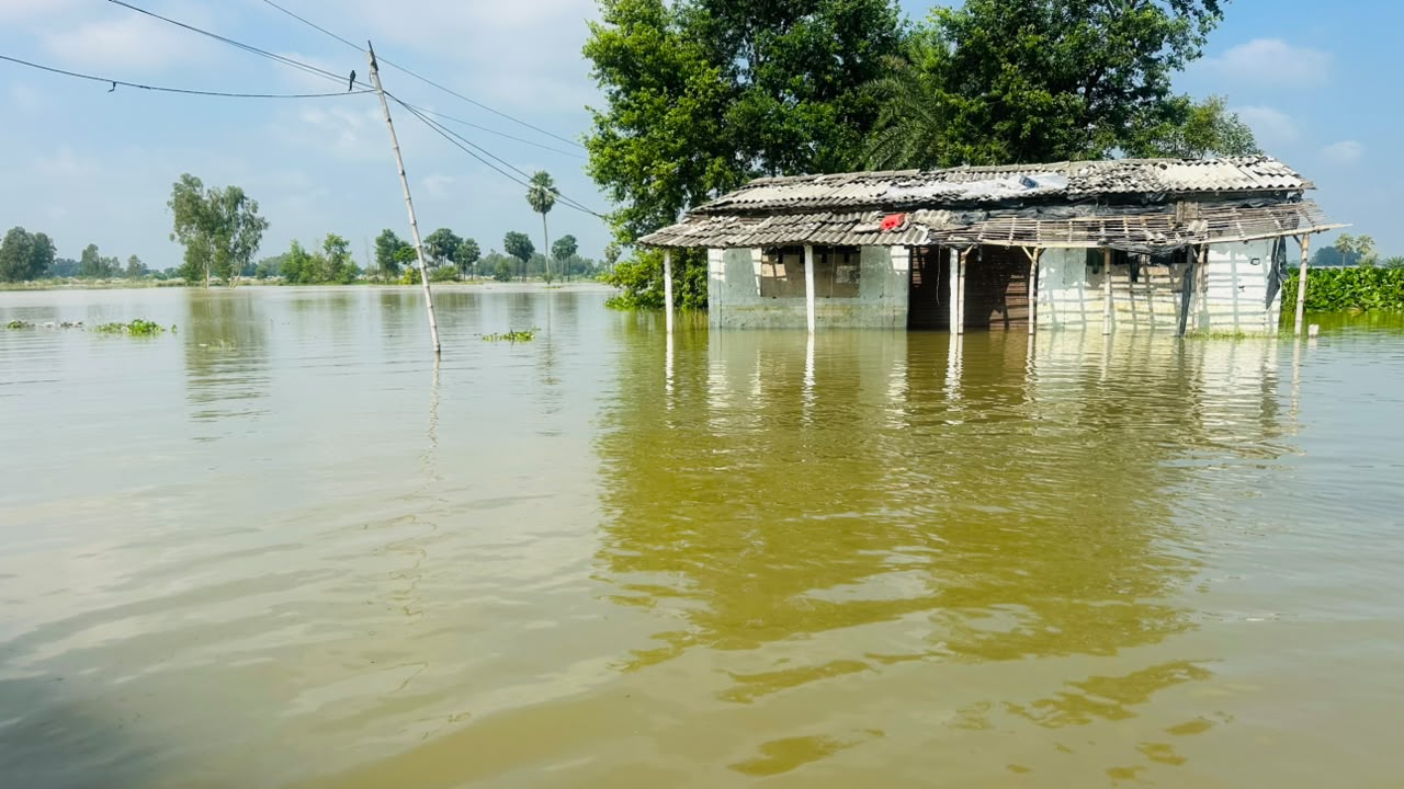 लखनदेई खोलामा आएको बाढीले भाडसर खुटौनाको बस्ती र धान खेत डुबानमा