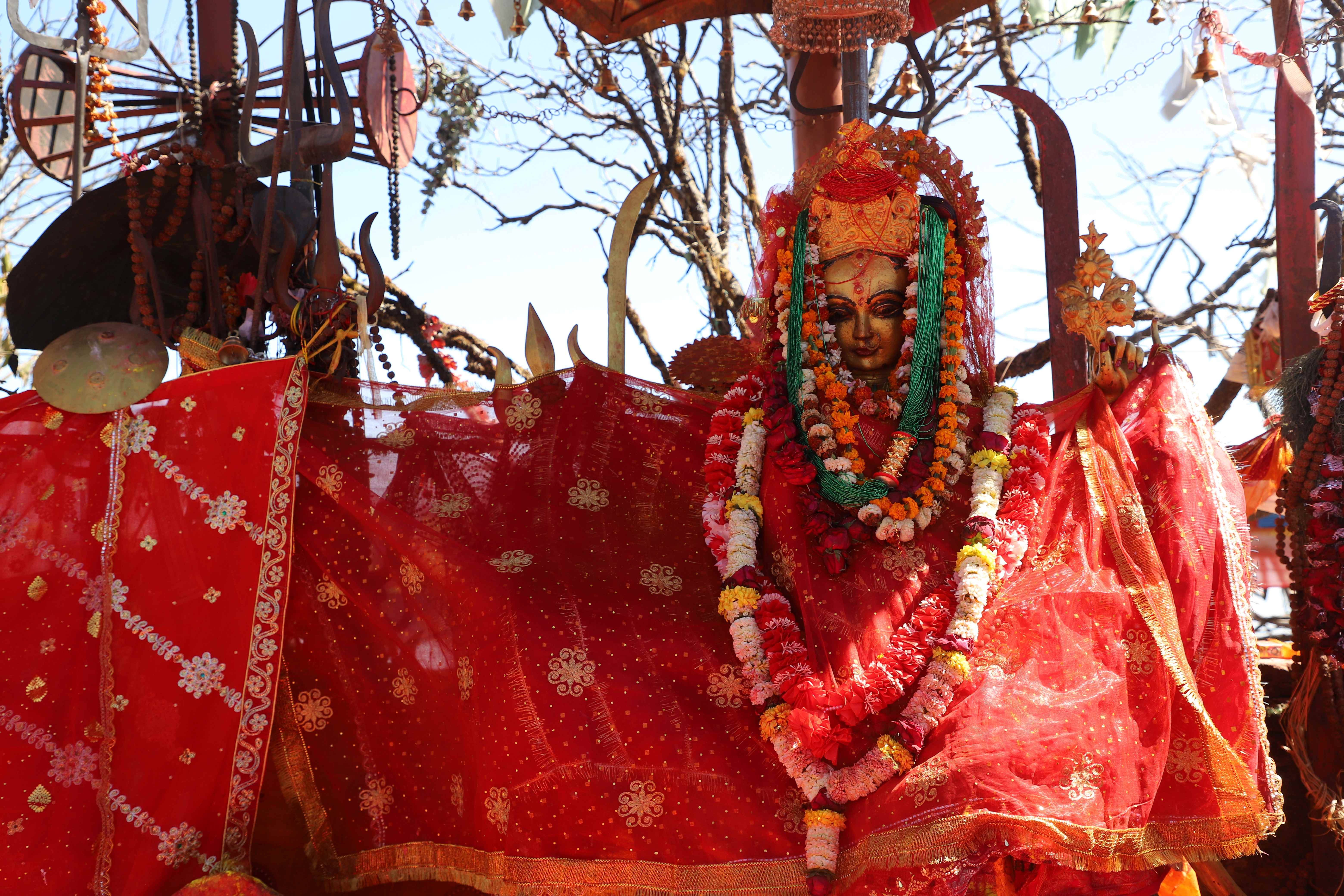 पाथीभरामा भदौमै उठ्यो साढे १३ लाख भेटी, गत वर्ष आएका थिए २ लाख ५२ हजार भक्तजन