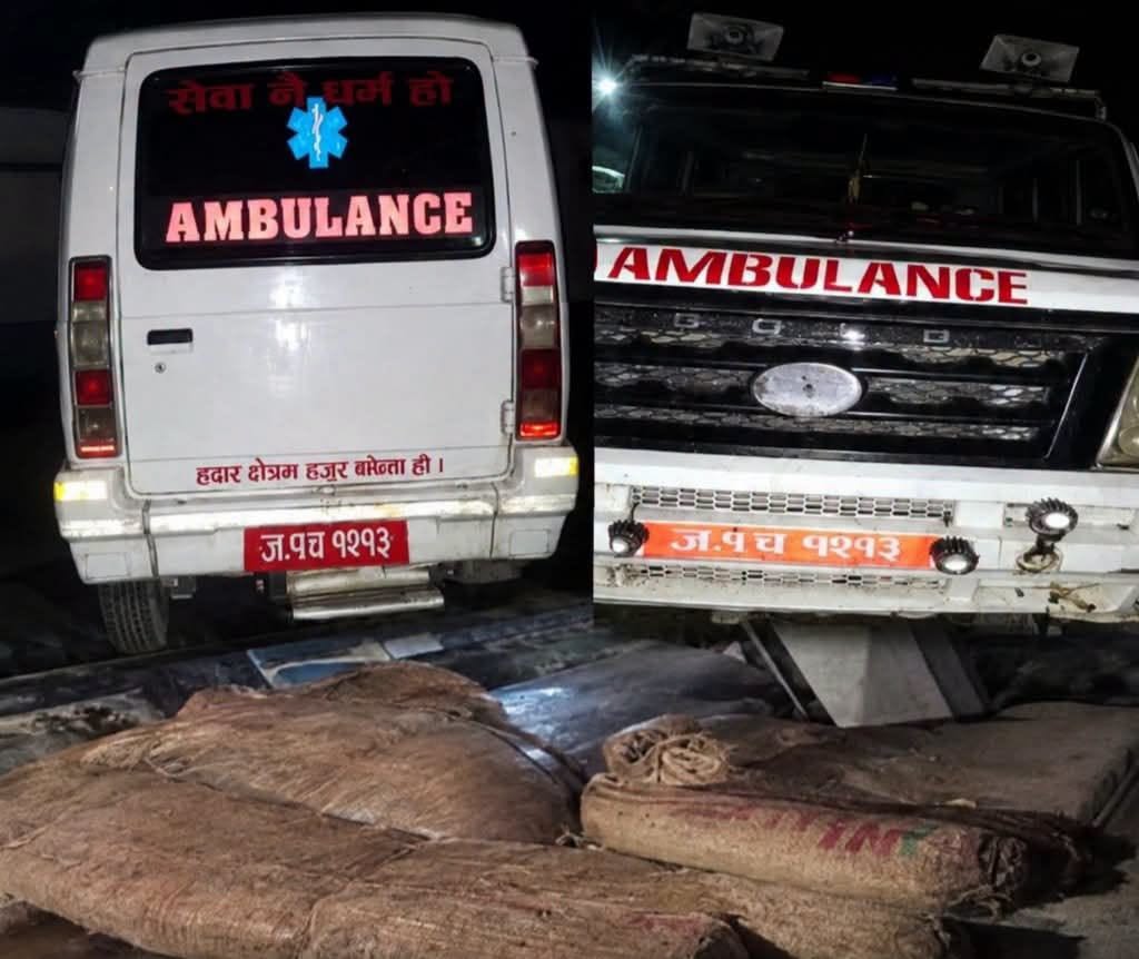 सिरहामा एम्बुलेन्सबाट १०५ किलो गाँजा बरामद: प्रहरीलाई देखेपछि चालक फरार