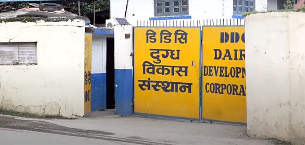 दुग्ध विकास संस्थानका तत्कालीन महाप्रबन्धकसहित आठ जना पक्राउ