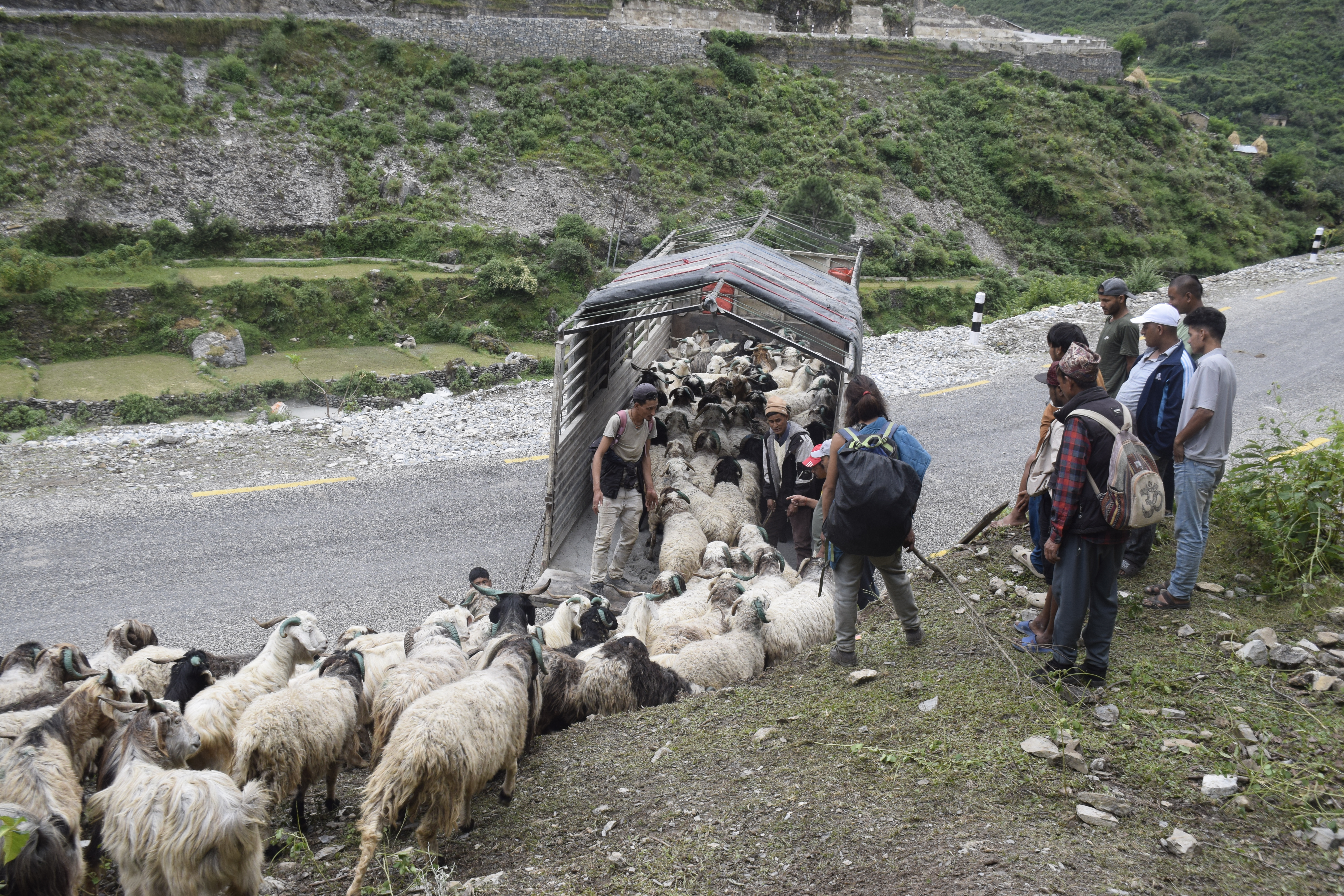 सहरको स्वादका लागि छुट्छ हिमालको दशैं-तिहार