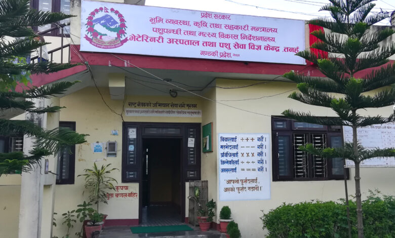 कास्कीमा पशुमा पूर्ण खोप कार्यक्रम प्रभावकारी, एक वर्षमा २ लाखभन्दा बढी मात्रा खोप