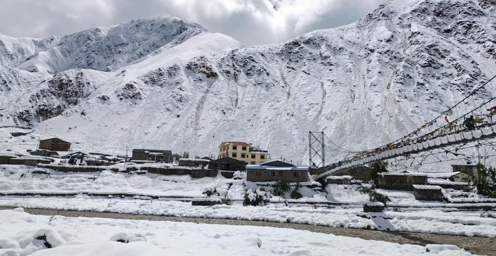 चीनसँगको सीमा जोड्ने सिमकोट-हिल्सा सडकखण्डमा जमेको हिउँ पन्छाउन सुरु